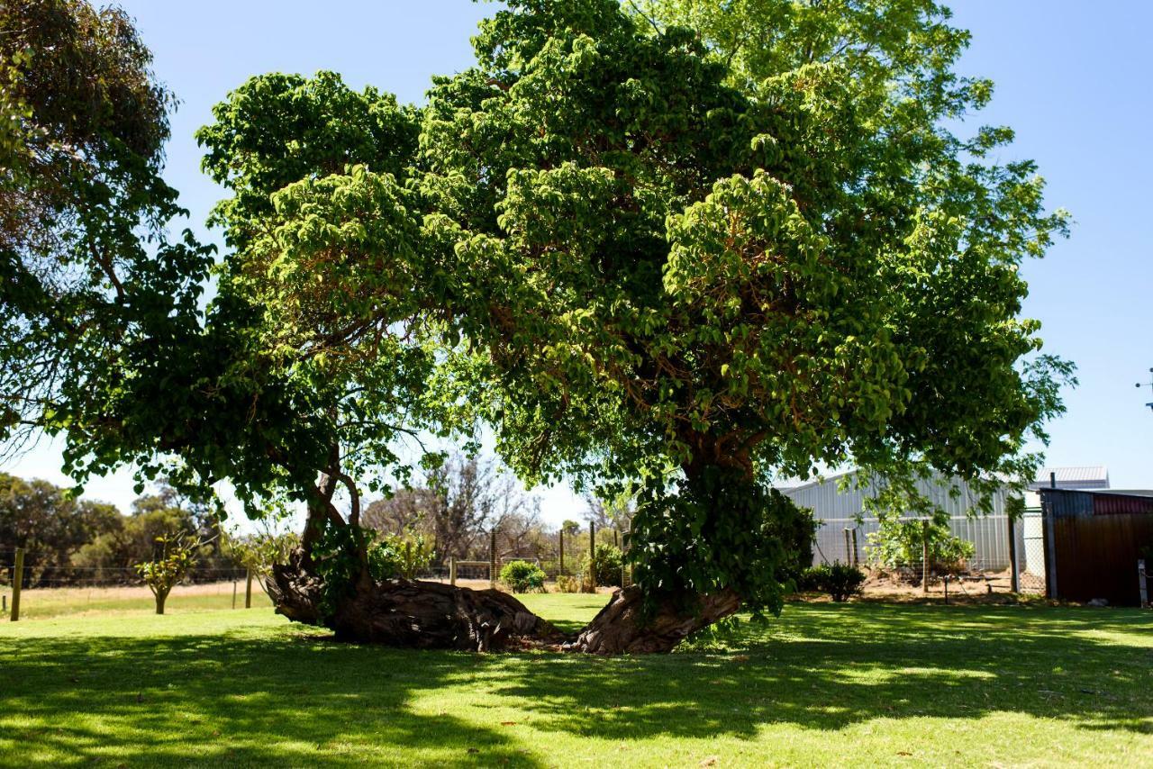 בית הארחה בסלטון 	Fairlawn Estate מראה חיצוני תמונה