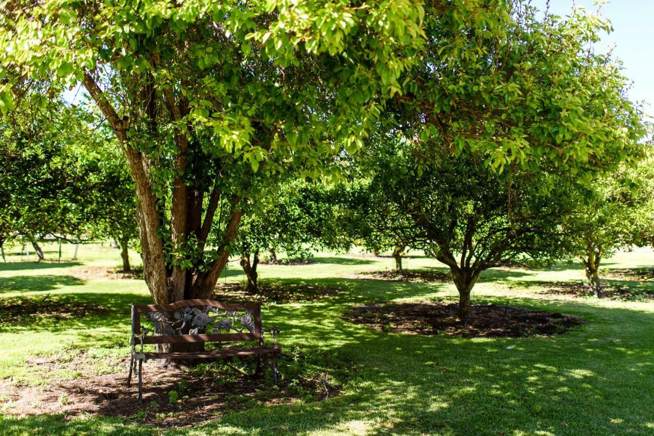 בית הארחה בסלטון 	Fairlawn Estate מראה חיצוני תמונה