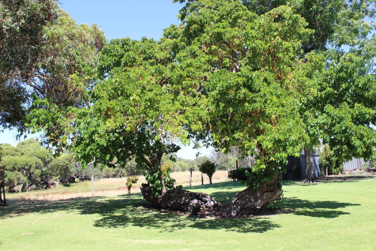 בית הארחה בסלטון 	Fairlawn Estate מראה חיצוני תמונה
